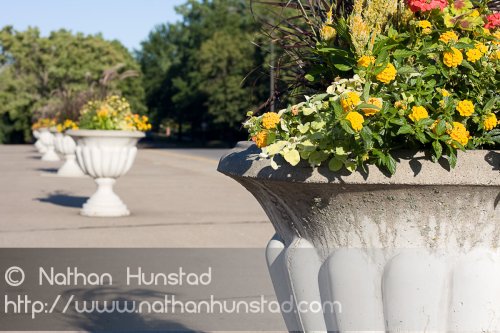 Summit_Avenue_2008-08-24_IMG_1570